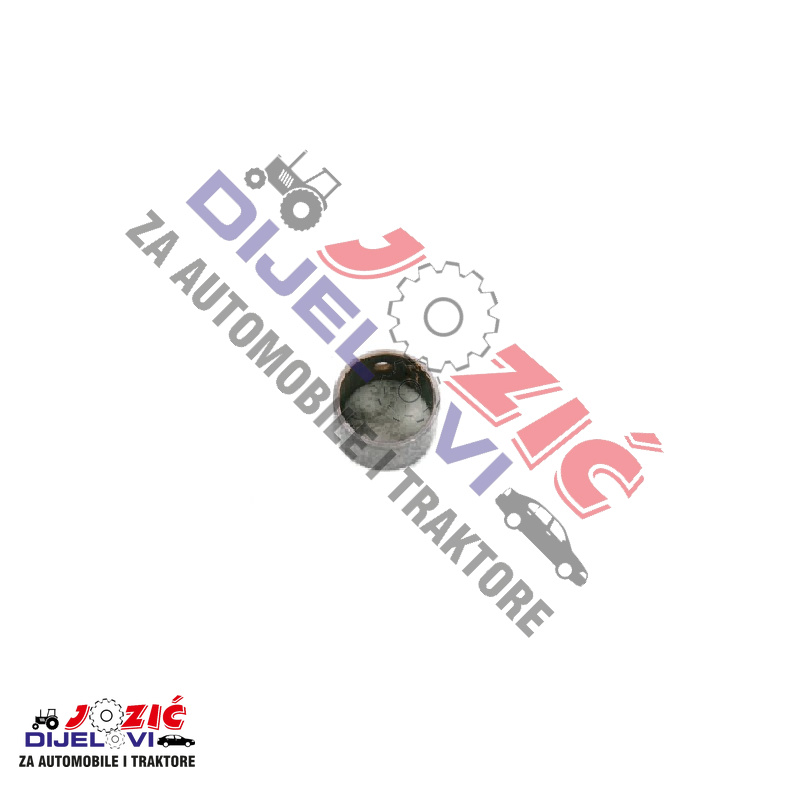 Daisy on the Ohoopee